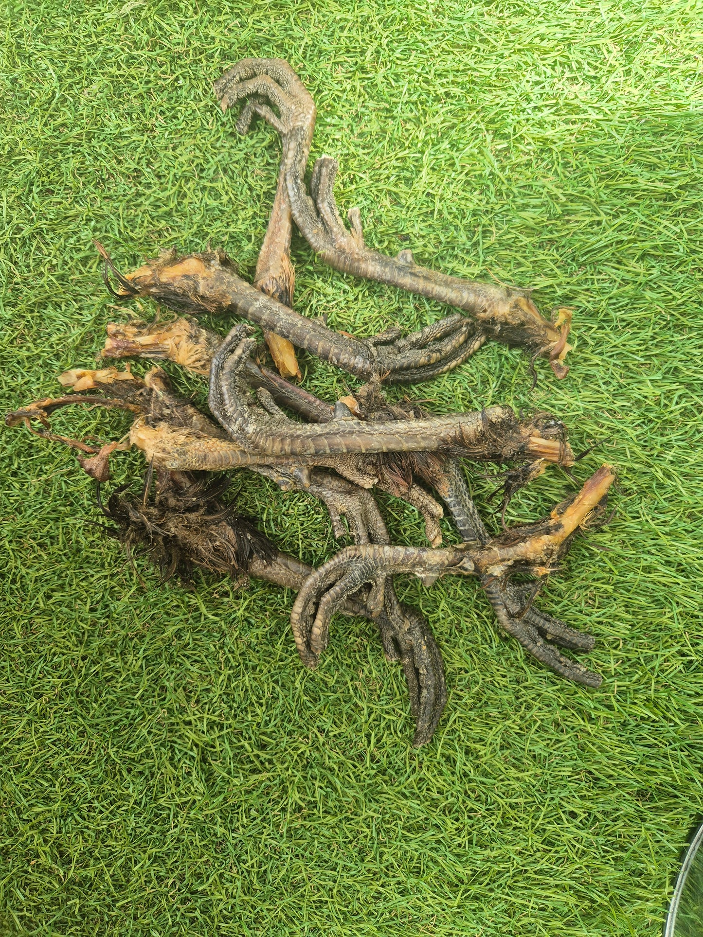 PHEASANT FEET
