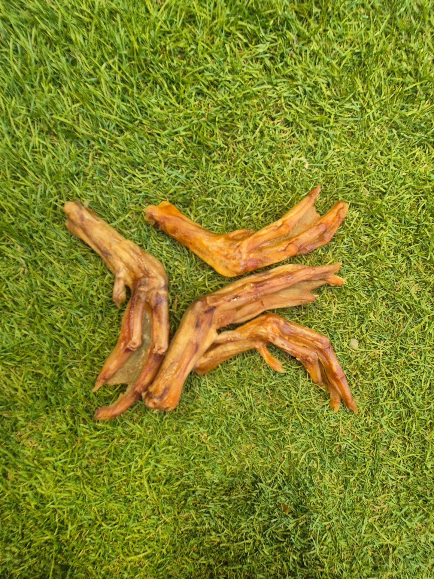 Duck Feet