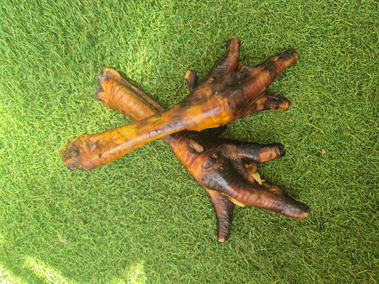 XL TURKEY FEET