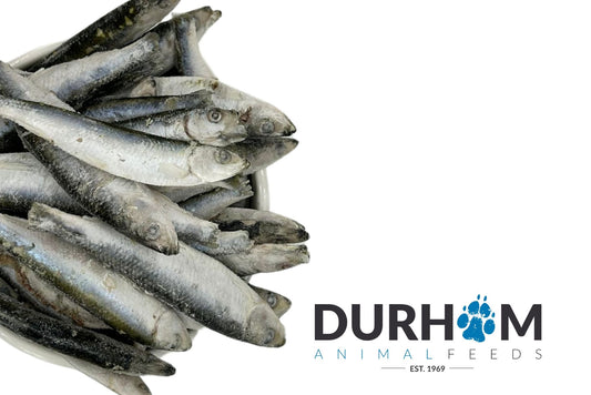 Durham raw sprats