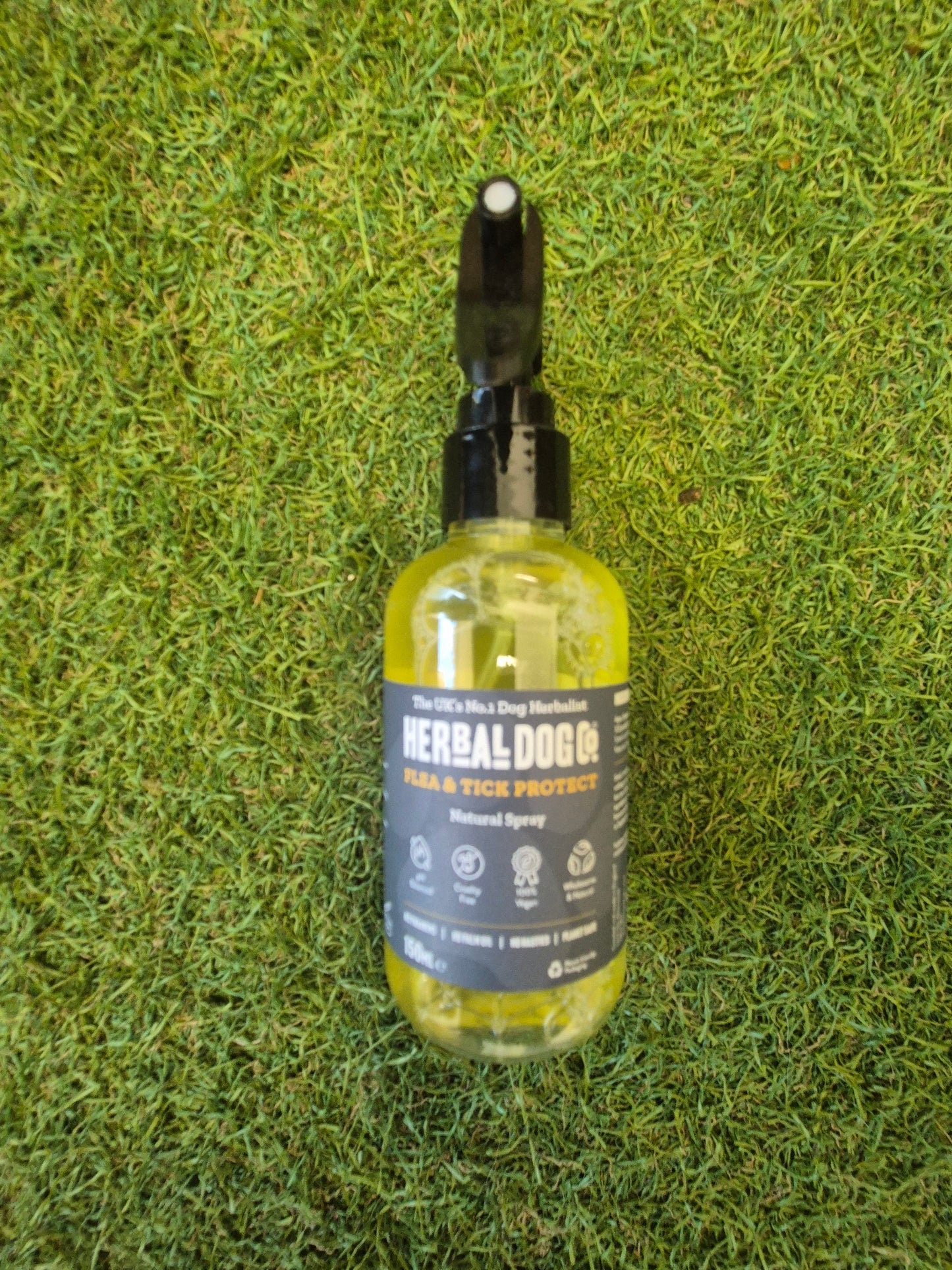 Herbal Dog Flea Spray