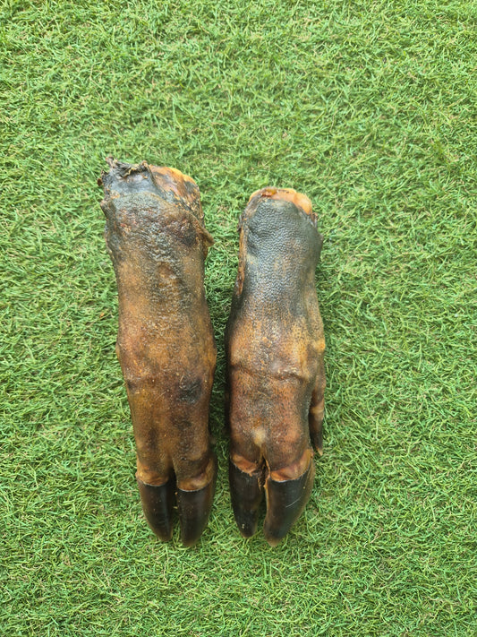 Wild Boar trotters