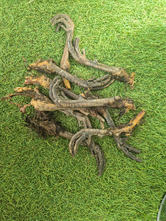 PHEASANT FEET