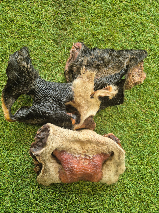 Hairy Cow snouts
