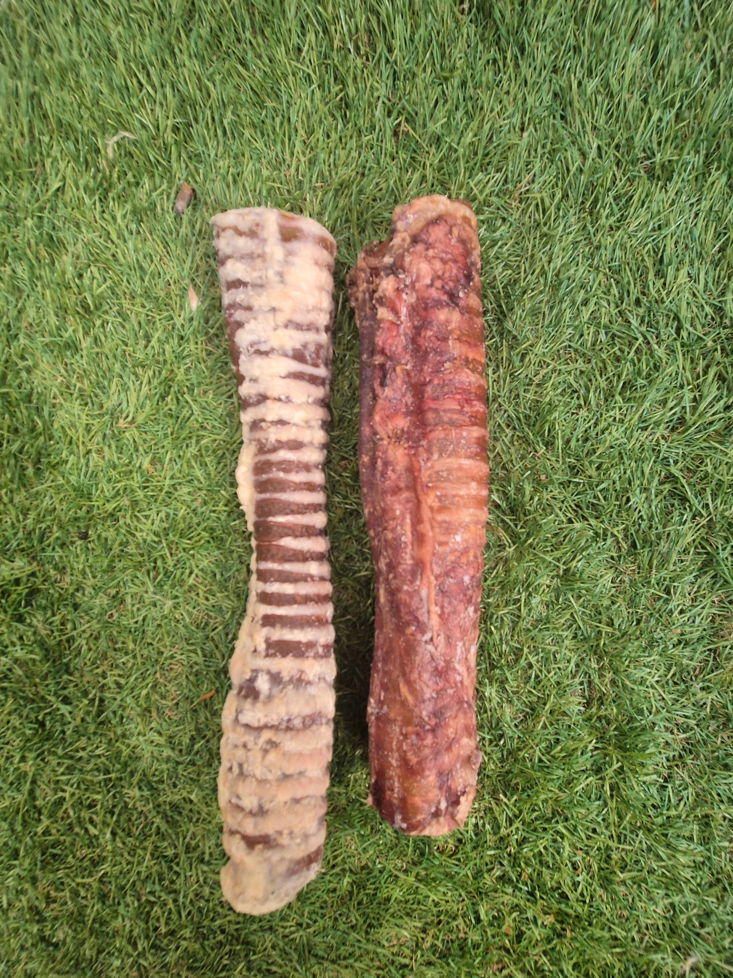 Beef Trachea