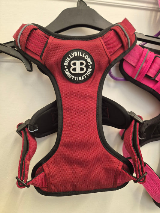 Bullybillows Burgundy Medium Premium Harness