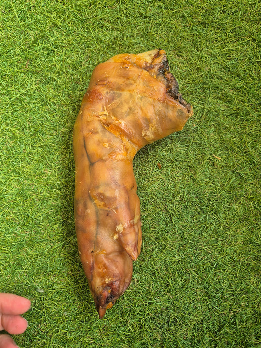 Giant pigs trotter